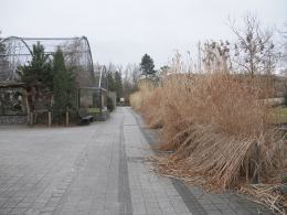 Opolskie zoo przygotowuje się do wiosny