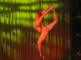 Międzynarodowe zawody Pole Dance przyciągnęły liczną publikę