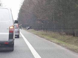 40-latek zasnął za kierownicą audi. W wypadku ucierpiało dziecko.