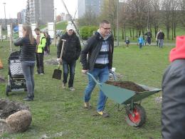 Opolanie sadzili drzewa na 800-lecie miasta