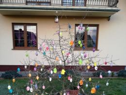 Dekoracja pana Henryka z Opola-Chmielowic.