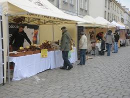 Trwa święto patrona Opola. Moc atrakcji gwarantowana!