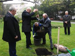 Lipa symbolem Rodziny. Zasadzono symboliczne drzewko