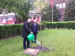 Lipa symbolem Rodziny. Zasadzono symboliczne drzewko