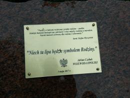 Lipa symbolem Rodziny. Zasadzono symboliczne drzewko