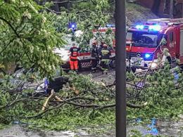 Drzewo spadło na samochód w Brzegu. Dwie osoby ranne