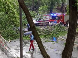 Drzewo spadło na samochód w Brzegu. Dwie osoby ranne