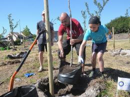 Więcej klonów i jabłoni. Opolanie sadzą drzewa