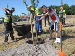 Więcej klonów i jabłoni. Opolanie sadzą drzewa