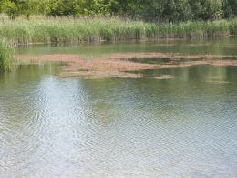Kąpieliska w Opolu już prawie gotowe na sezon