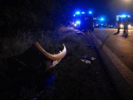 Nocne zderzenie autokaru i busa w Opolu. Są ranni.