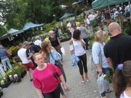 Otmuchów tonie w kolorach. Lato Kwiatów przyciąga tłumy