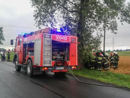 Pijany kierowca wylądował na drzewie. Cztery osoby w szpitalu