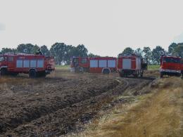 Pożar zboża w Kurzniach. Straty rzędu 25 tys. złotych