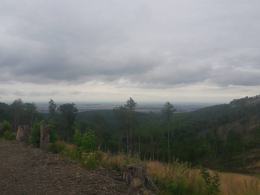 Odtwarzają "wyłysiałą" Biskupią Kopę. Będą buki i jodły