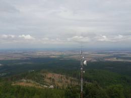 Odtwarzają "wyłysiałą" Biskupią Kopę. Będą buki i jodły