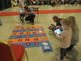 Tłumy Opolan na festiwalu Mniejszości Niemieckiej w domEXPO