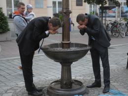 Końskie poidło stanęło przed opolskim ratuszem