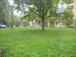 Zakaz wstępu z psem. Zgodny, czy niezgodny z prawem?