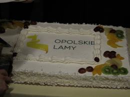 Udane urodziny Lam. 15. Festiwal Filmowy za nami.