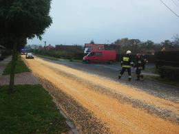 150 metrów drogi w Lewinie Brzeskim pokryte ziarnami kukurydzy