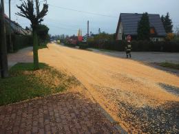 150 metrów drogi w Lewinie Brzeskim pokryte ziarnami kukurydzy