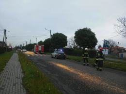 150 metrów drogi w Lewinie Brzeskim pokryte ziarnami kukurydzy