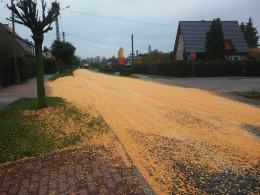 150 metrów drogi w Lewinie Brzeskim pokryte ziarnami kukurydzy
