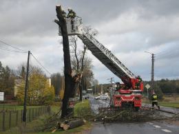 Dobrzeń Wielki: Drzewo przewróciło się na jadący pojazd, nie żyje kierowca.
