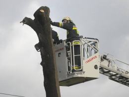 Dobrzeń Wielki: Drzewo przewróciło się na jadący pojazd, nie żyje kierowca.