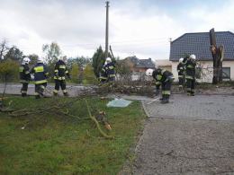 Dobrzeń Wielki: Drzewo przewróciło się na jadący pojazd, nie żyje kierowca.