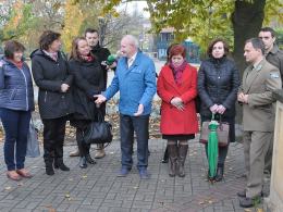 6 wiśni posadzono na Placu Wolności w Opolu.