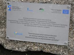 6 wiśni posadzono na Placu Wolności w Opolu.