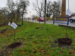 Pomiary jakosci powietrza z ostatnich dni są zatrważające