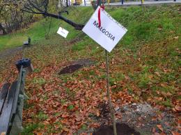 Pomiary jakosci powietrza z ostatnich dni są zatrważające