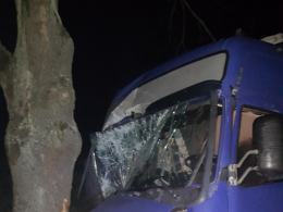 Tirem wjechał w drzewo. Dostał mandat i zablokował ulicę na kilkanaście godzin
