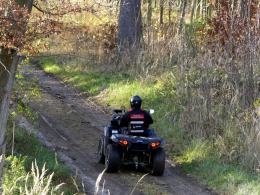 Ćwiczenia "GRZYBIARZ" na pograniczu polsko-czeskim