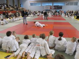 Opolski Integracyjny Festiwal Judo - ponad 300 juniorów walczyło na matach