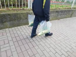 Kupuj zabitego karpia, nie męcz go