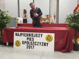 Najpiękniejszy pies Opolszczyzny wybrany