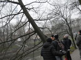 Ornitolodzy alarmują: Przybywa ptaków, lecz brakuje miejsc lęgowych