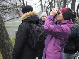Ornitolodzy alarmują: Przybywa ptaków, lecz brakuje miejsc lęgowych