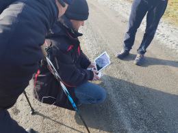 Krowa uciekinierka namierzona, lecz jeszcze nie złapana