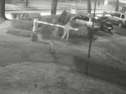 Zatrzymani za zniszczenia i włamanie, dodatkowo mieli przy sobie narkotyki