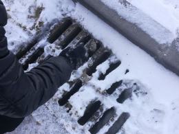 Czujność wolontariuszki TOZ uratowała przymarzniętego kota