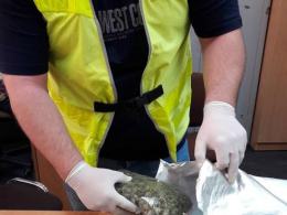 Ponad pól kilograma marihuany w domu 31-latka