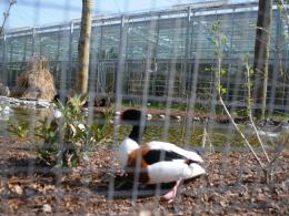 Można już zwiedzać szklarnię w opolskim zoo