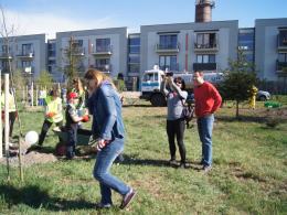 Opolanie wspólnie sadzą drzewa przy kąpielisku Bolko