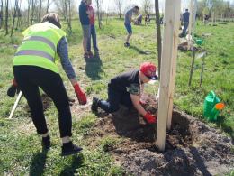 Opolanie wspólnie sadzą drzewa przy kąpielisku Bolko