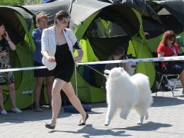 W Centrum Wystawienniczo-Kongresowym trwa Wystawa Psów Rasowych
